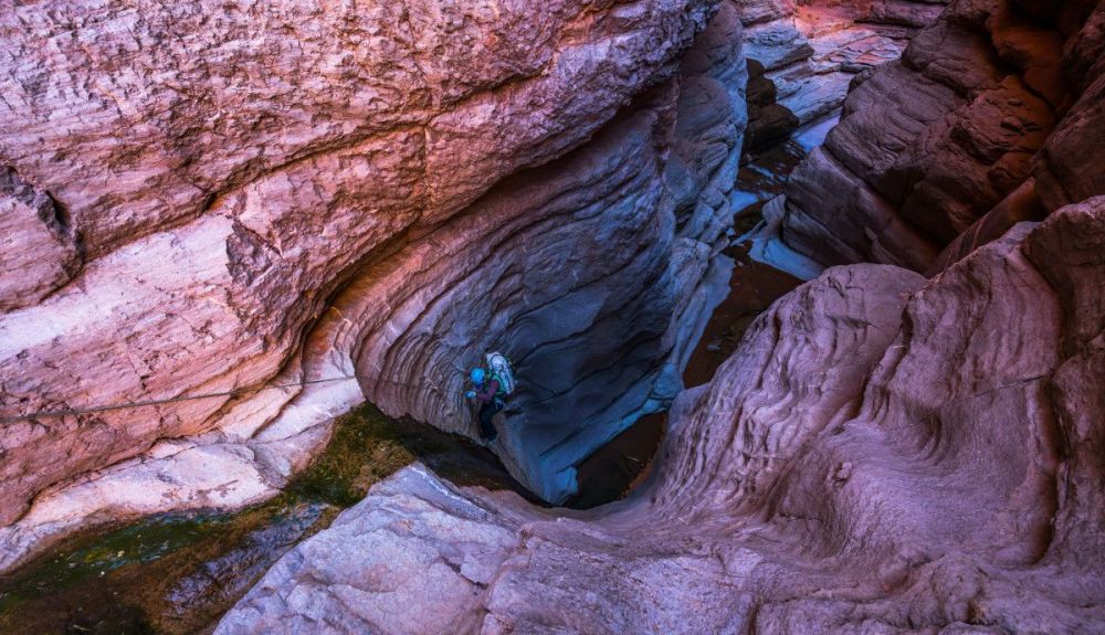MF2020 INTOTHECANYON