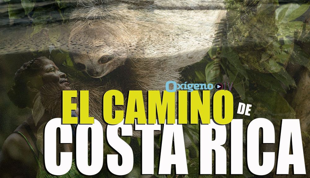 "El Camino de Costa Rica", un documental original de Oxígeno