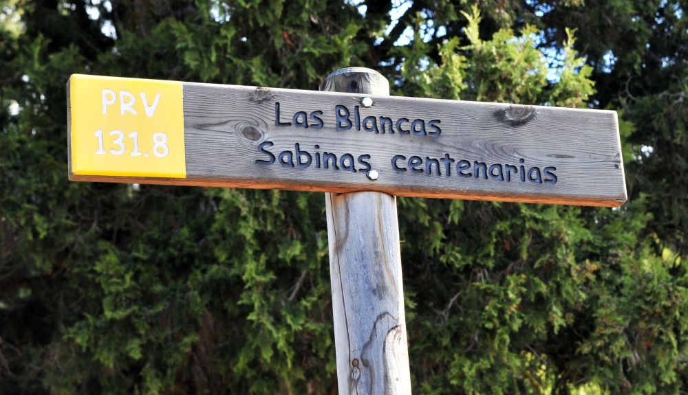 Las Blancas sendero 1
