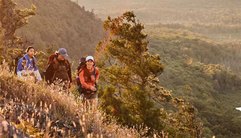 Merrell hace el camino