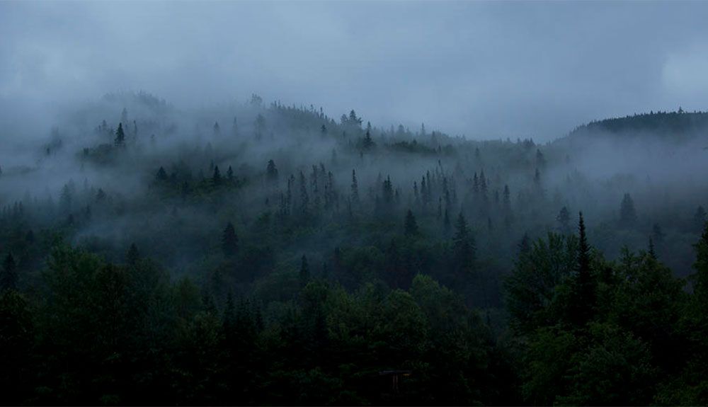 Los tipos de niebla a los que nos enfrentaremos en la naturaleza