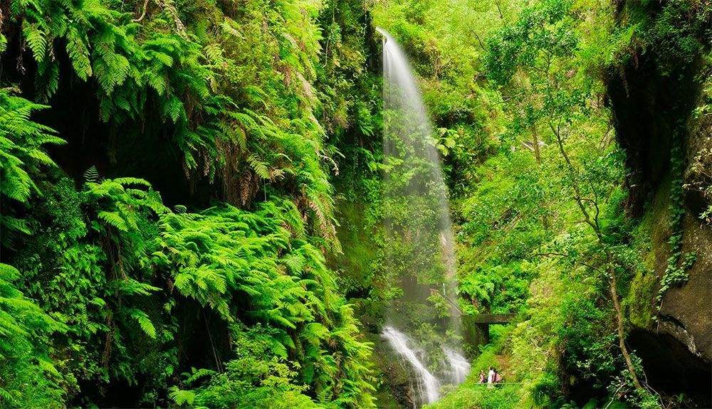 La Palma cuenta con una gran oferta para el turismo sostenible La Palma cuenta con una gran oferta para el turismo sostenible