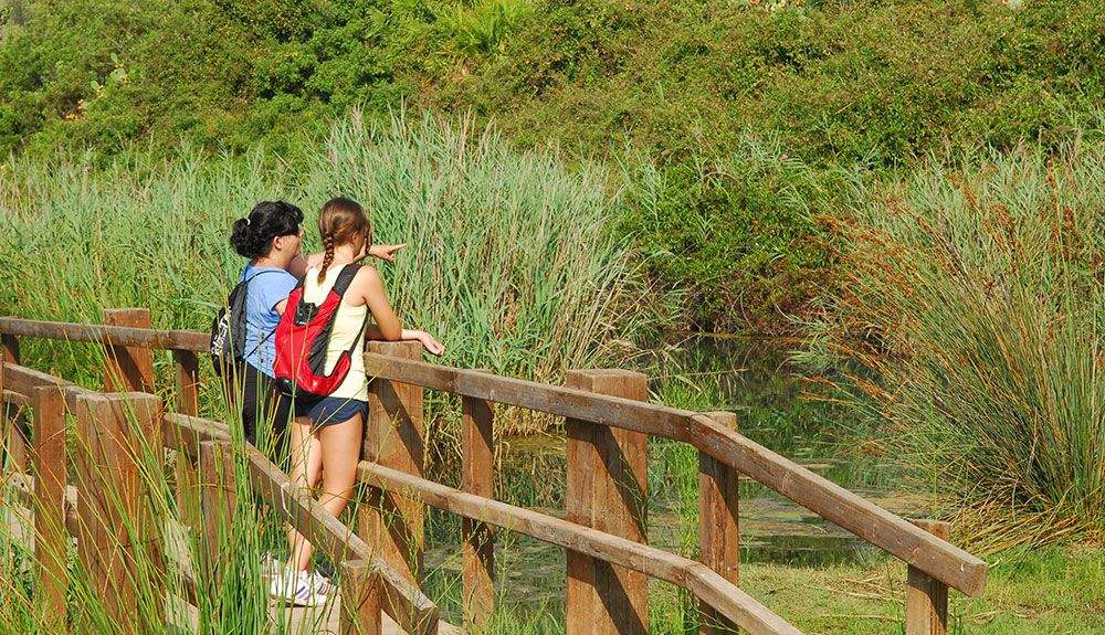 Marja de Pego-Oliva, una joya ambiental en la costa alicantina