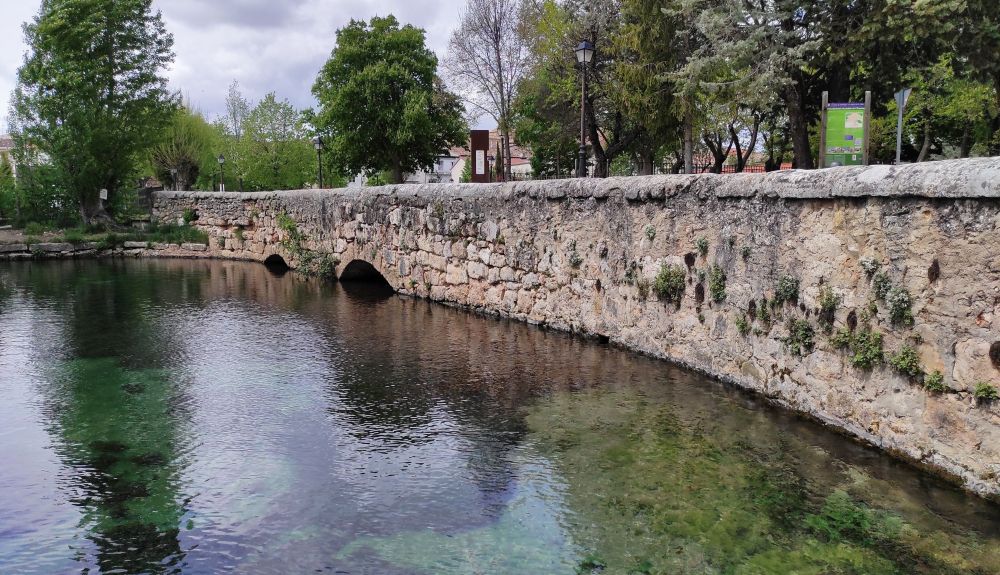 La Balsa de Cifuentes 2