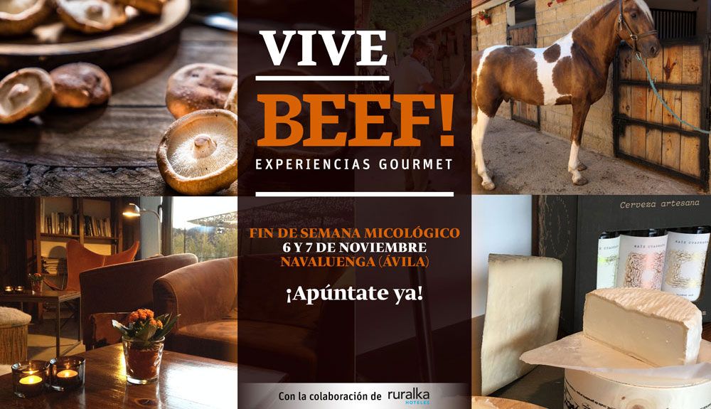 Jornadas micológicas en Ávila con BEEF!