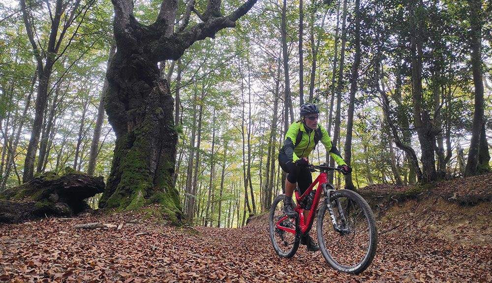 La vuelta al Gorbeia en mountain bike