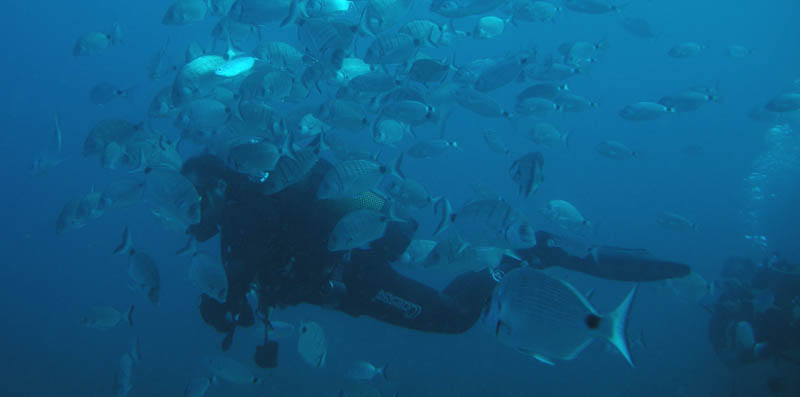 Buceo y campers, lo mejor de dos mundos Buceo y campers, lo mejor de dos mundos