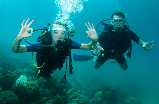 ¿Conoces las Islas Columbretes? ¿Conoces las Islas Columbretes?