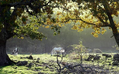 Salamanca natural, un tesoro cercano Salamanca natural, un tesoro cercano