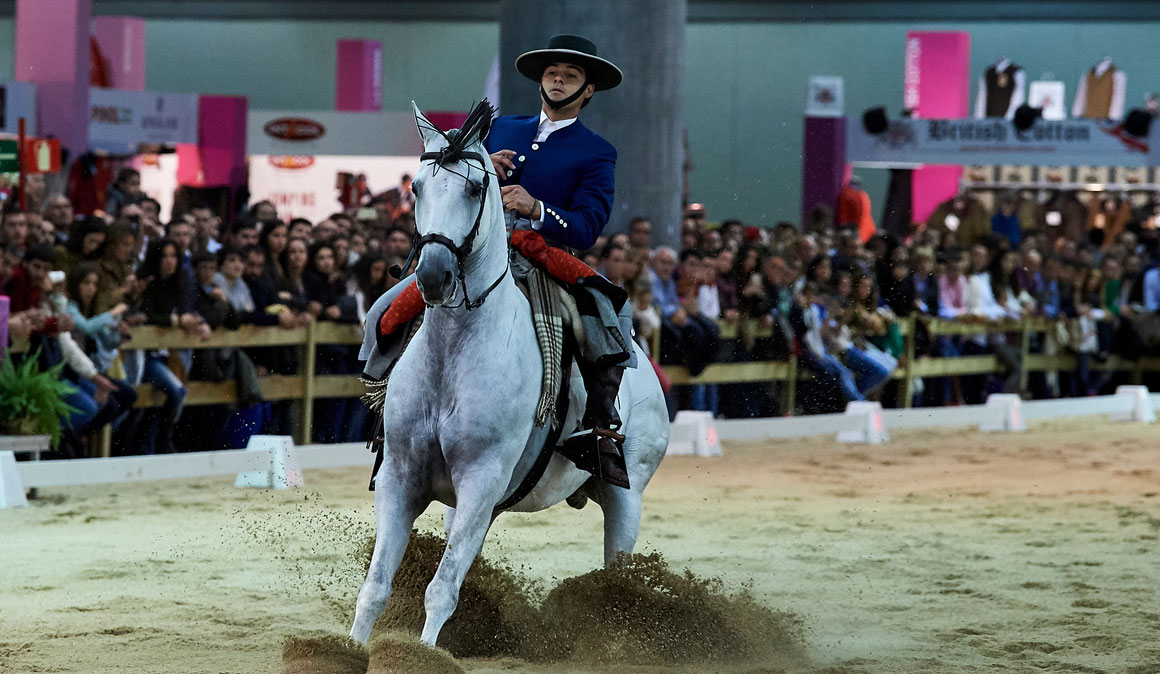 Conoce de cerca el mundo de la hípica en la Madrid Horse Week