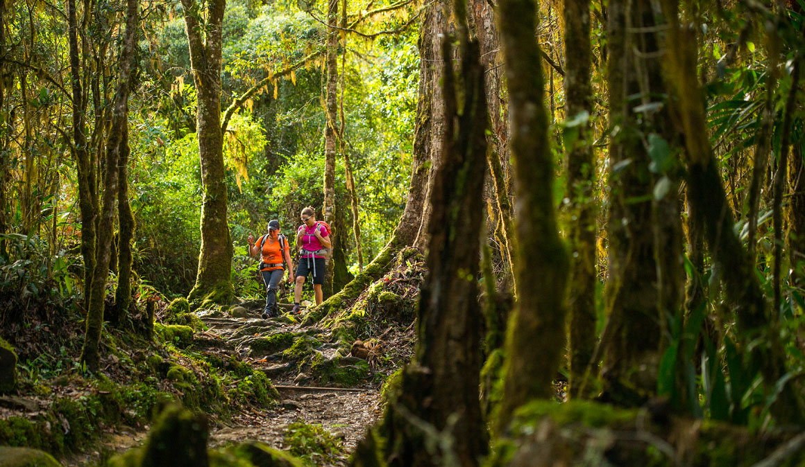 Trekking con Edurne Pasaban... ¡Y un viaje a Costa Rica! No te pierdas la tercera jornada de Costa Rica te oxigena Trekking con Edurne Pasaban... ¡Y un viaje a Costa Rica! No te pierdas la tercera jornada de Costa Rica te oxigena