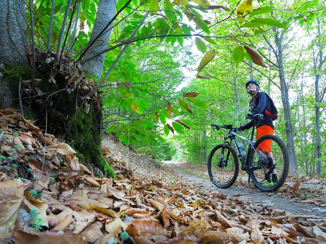 10 rutas otoñales 10 rutas otoñales