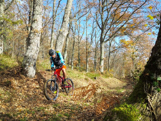 10 rutas otoñales 10 rutas otoñales
