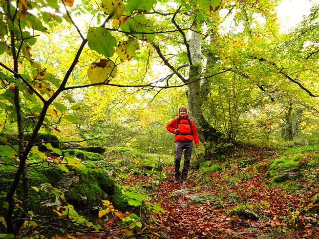 10 rutas otoñales 10 rutas otoñales