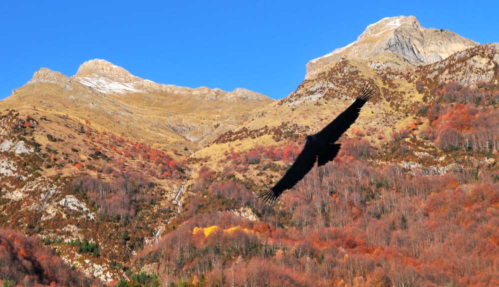 10 rutas otoñales 10 rutas otoñales