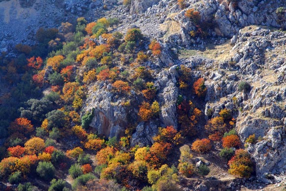 10 rutas otoñales 10 rutas otoñales