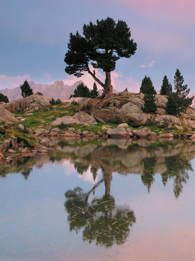 5 Parques Nacionales en otoño 5 Parques Nacionales en otoño
