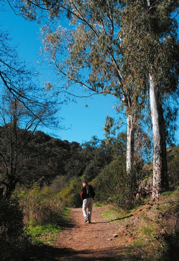 5 Parques Nacionales en otoño 5 Parques Nacionales en otoño