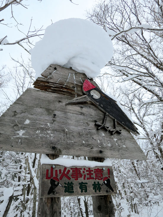 Japón: la mejor nieve del mundo Japón: la mejor nieve del mundo