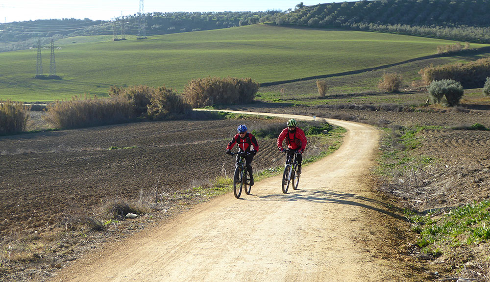 Dos grandes rutas circulares en Sevilla Dos grandes rutas circulares en Sevilla