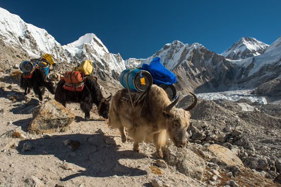 ¿Qué hacer con los cadáveres del Everest? ¿Qué hacer con los cadáveres del Everest?