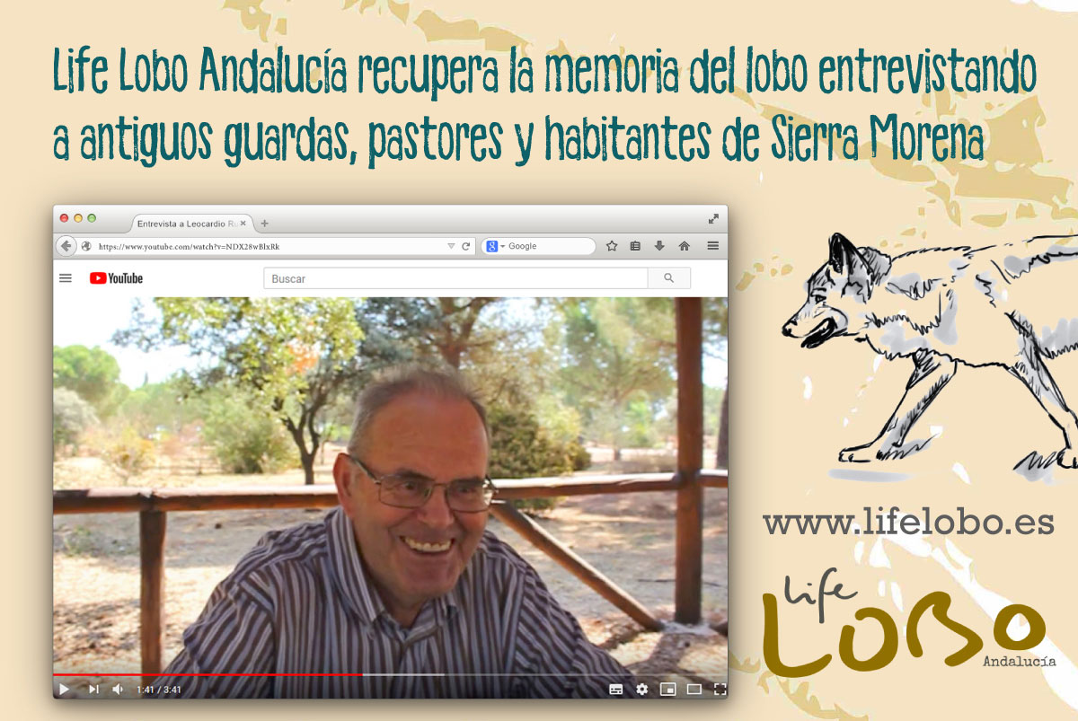 Recuperando la memoria del lobo Recuperando la memoria del lobo