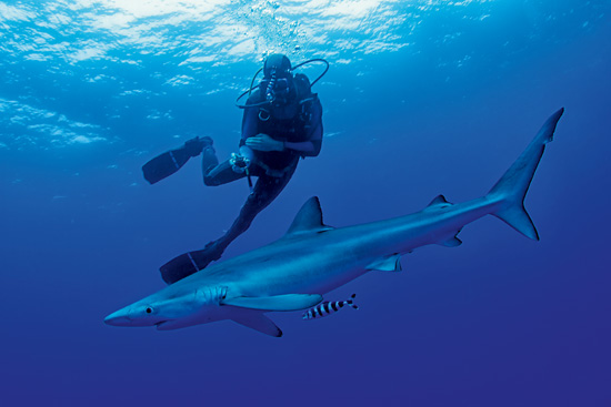 Aventuras por tierra, mar, ríos y aire Aventuras por tierra, mar, ríos y aire
