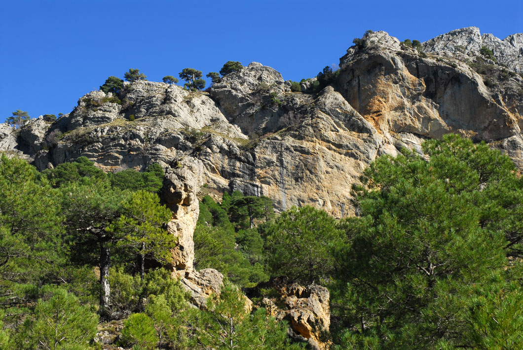 Parque Natural de Cazorla, Segura y las Villas Parque Natural de Cazorla, Segura y las Villas