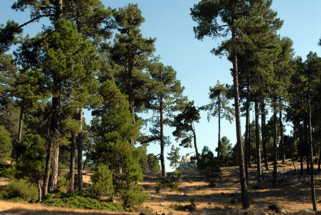 Parque Natural de Cazorla, Segura y las Villas Parque Natural de Cazorla, Segura y las Villas