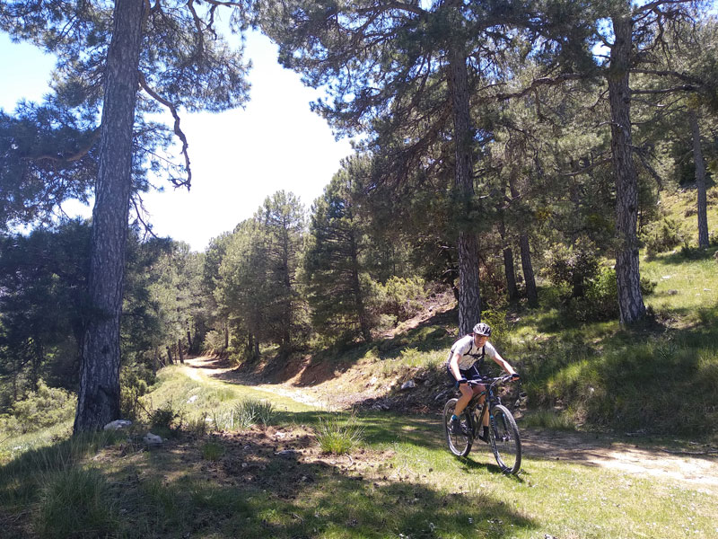 5 rutas de mountain bike para disfrutar del otoño 5 rutas de mountain bike para disfrutar del otoño