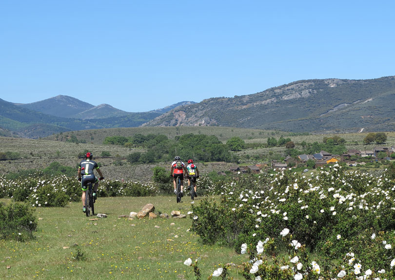 5 rutas de mountain bike para disfrutar del otoño 5 rutas de mountain bike para disfrutar del otoño
