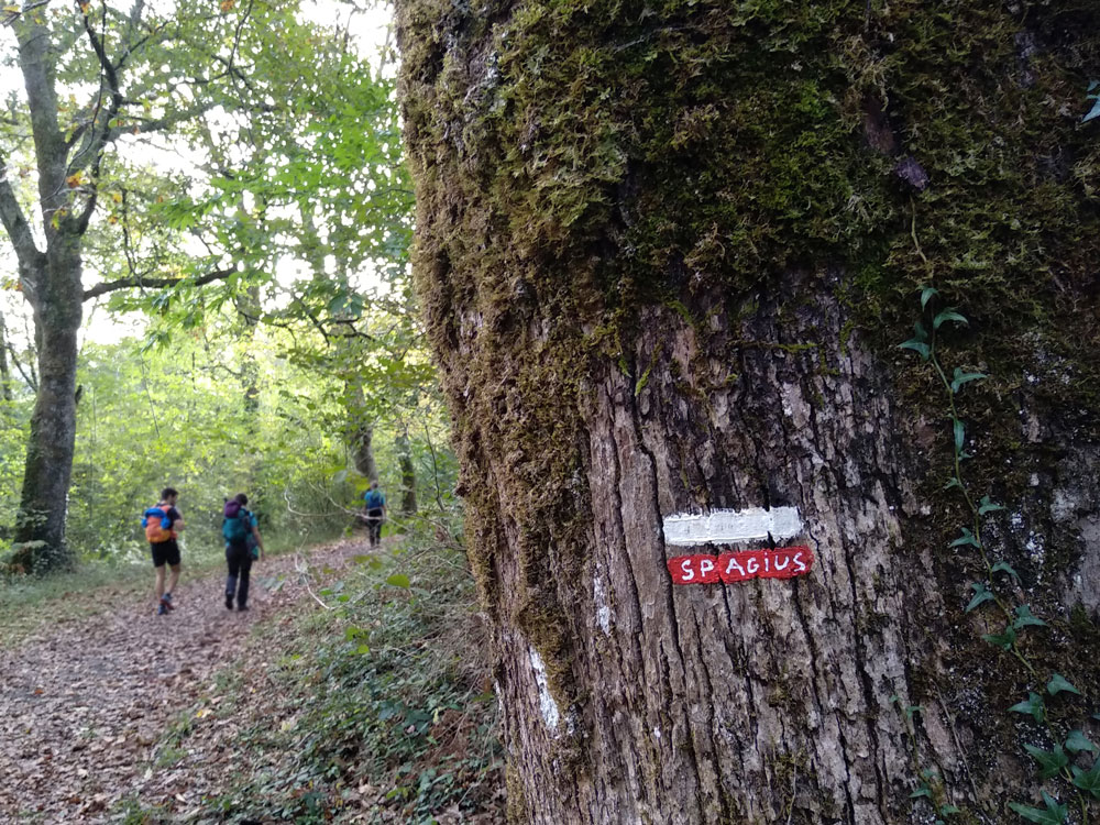 Trail 2 Challenge: una aventura apasionante en los Pirineos Trail 2 Challenge: una aventura apasionante en los Pirineos