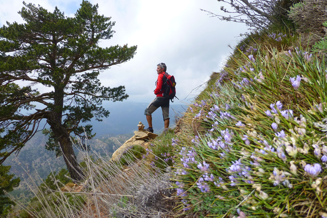 Penyagolosa, un coloso entre abismos y bosques Penyagolosa, un coloso entre abismos y bosques