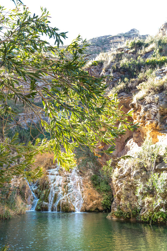 Trekking en la senda de Cavanilles y La Cortada