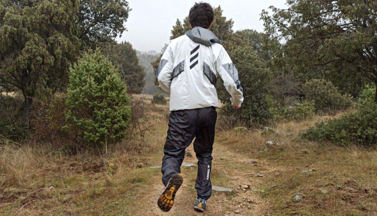 pantalón adidas 1