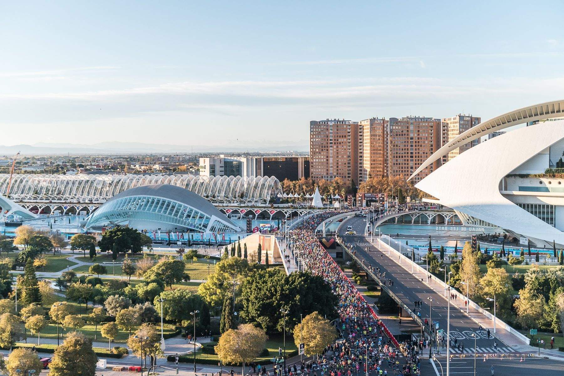 La icónica salida del Maratón Valencia Trinidad Alfonso este año tendrá más mujeres que nunca. La icónica salida del Maratón Valencia Trinidad Alfonso este año tendrá más mujeres que nunca.