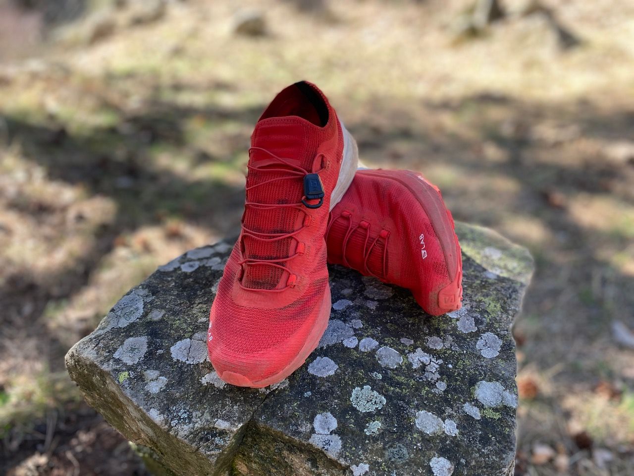 Salomon S:Lab Sense 8