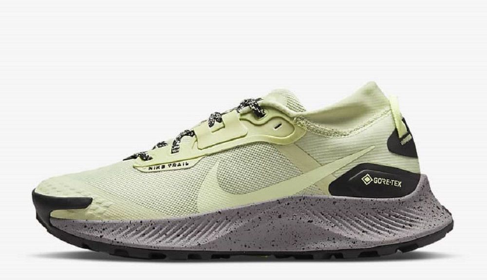 Zapatillas Nike Pegasus Trail 3 GORE TEX