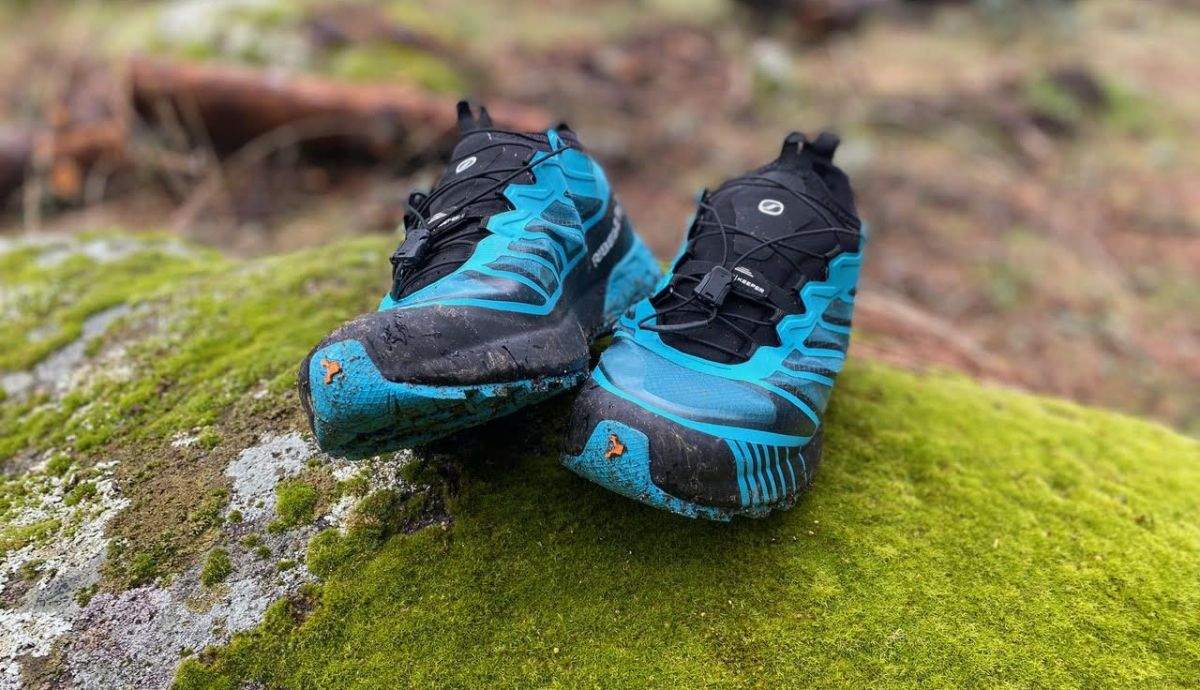 scarpa R