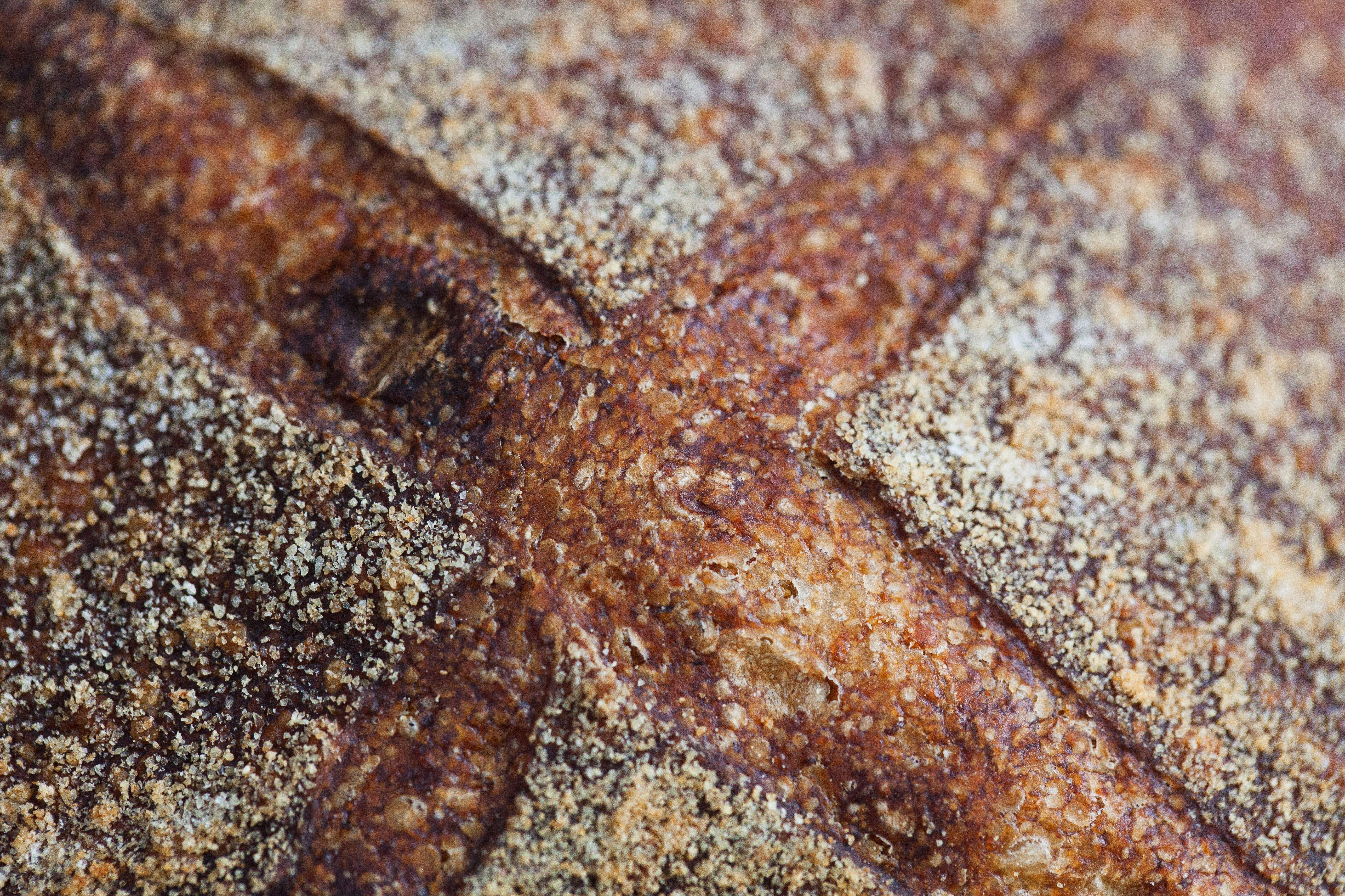 El gluten es una proteína que se encuentra en algunos cereales como el trigo, cebada, centeno y triticale. SPRING FED IMAGES.