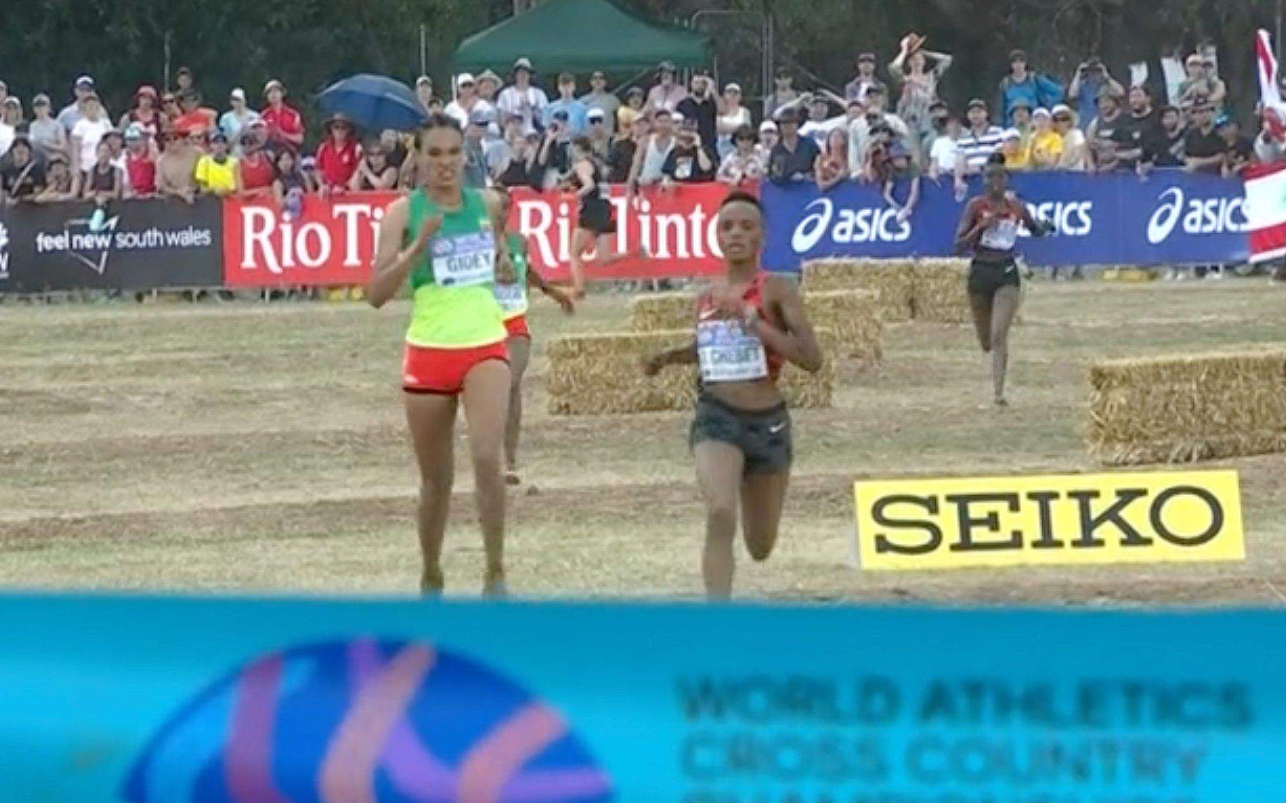 Gidey a punto de colapsar con Beatrice Chebet a su altura. Gidey a punto de colapsar con Beatrice Chebet a su altura.