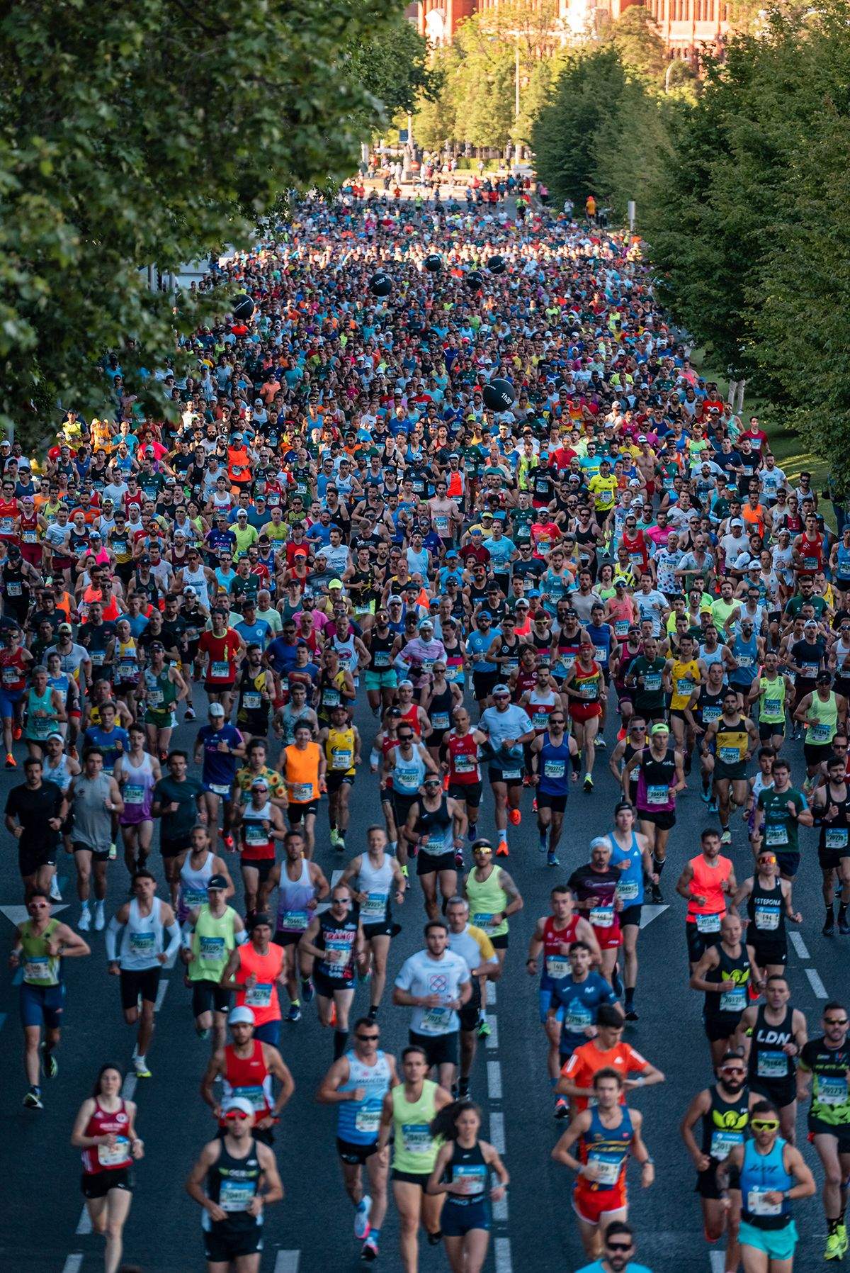 Una imagen que habla por sí sola: si nunca has disfrutado de Zurich Rock 'n' Roll Running Series Madrid... estás tardando.