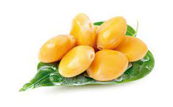 Altramuces, fuente de proteína vegetal
