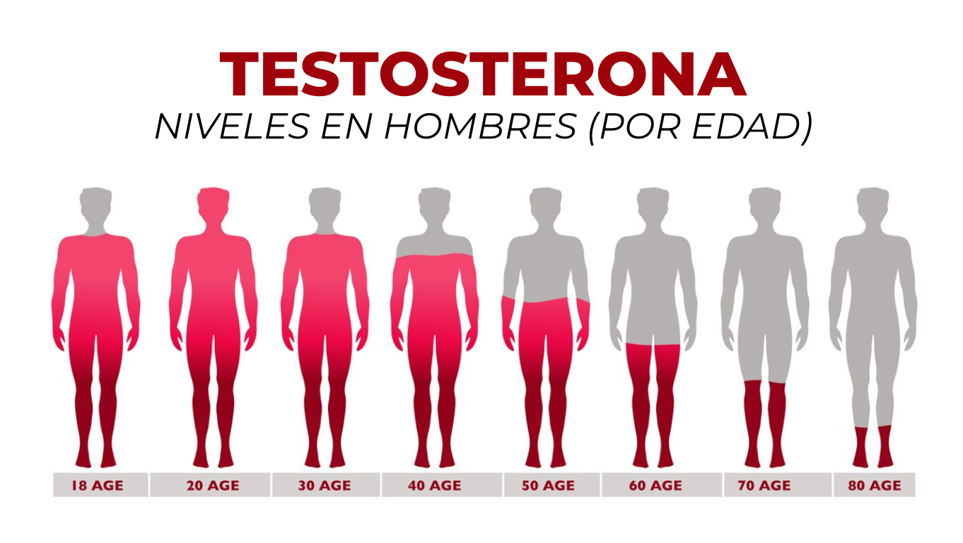 ¿Cuáles son las posibles causas para tener bajos niveles de testosterona? 2