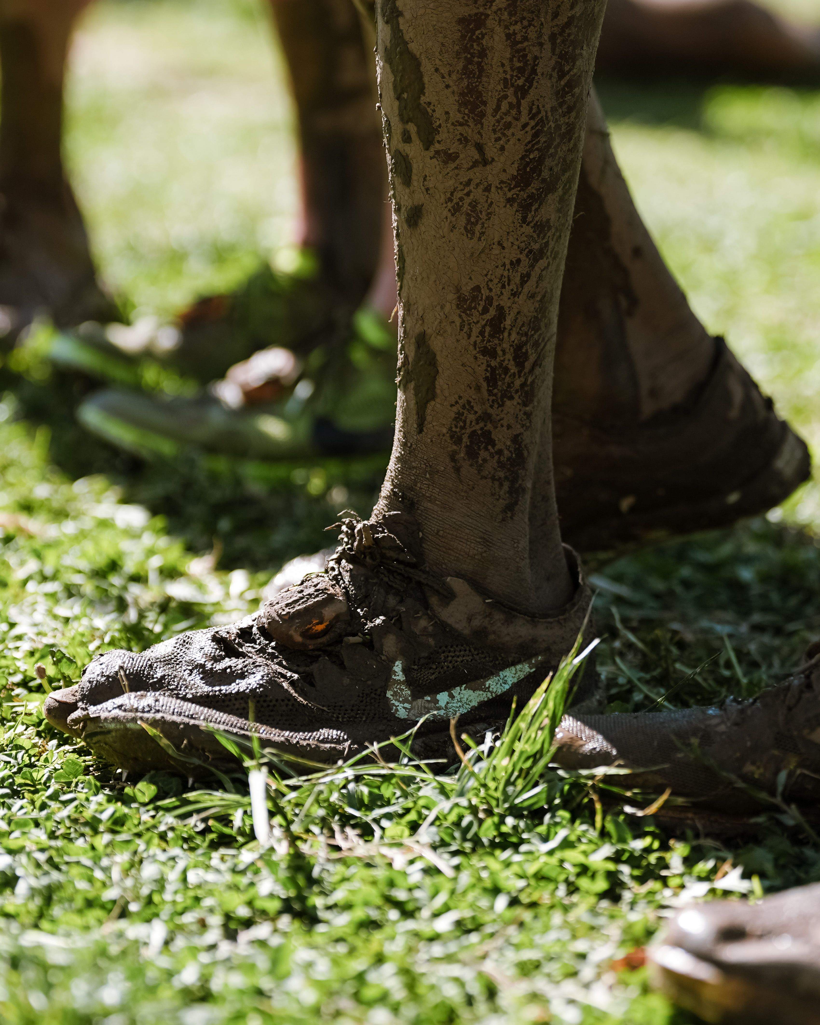 La zapatilla, rota por uno de sus lados, de uno de los atletas que disputaron el Campeonato del Mundo de Cross de Belgrado. SPORTMEDIA