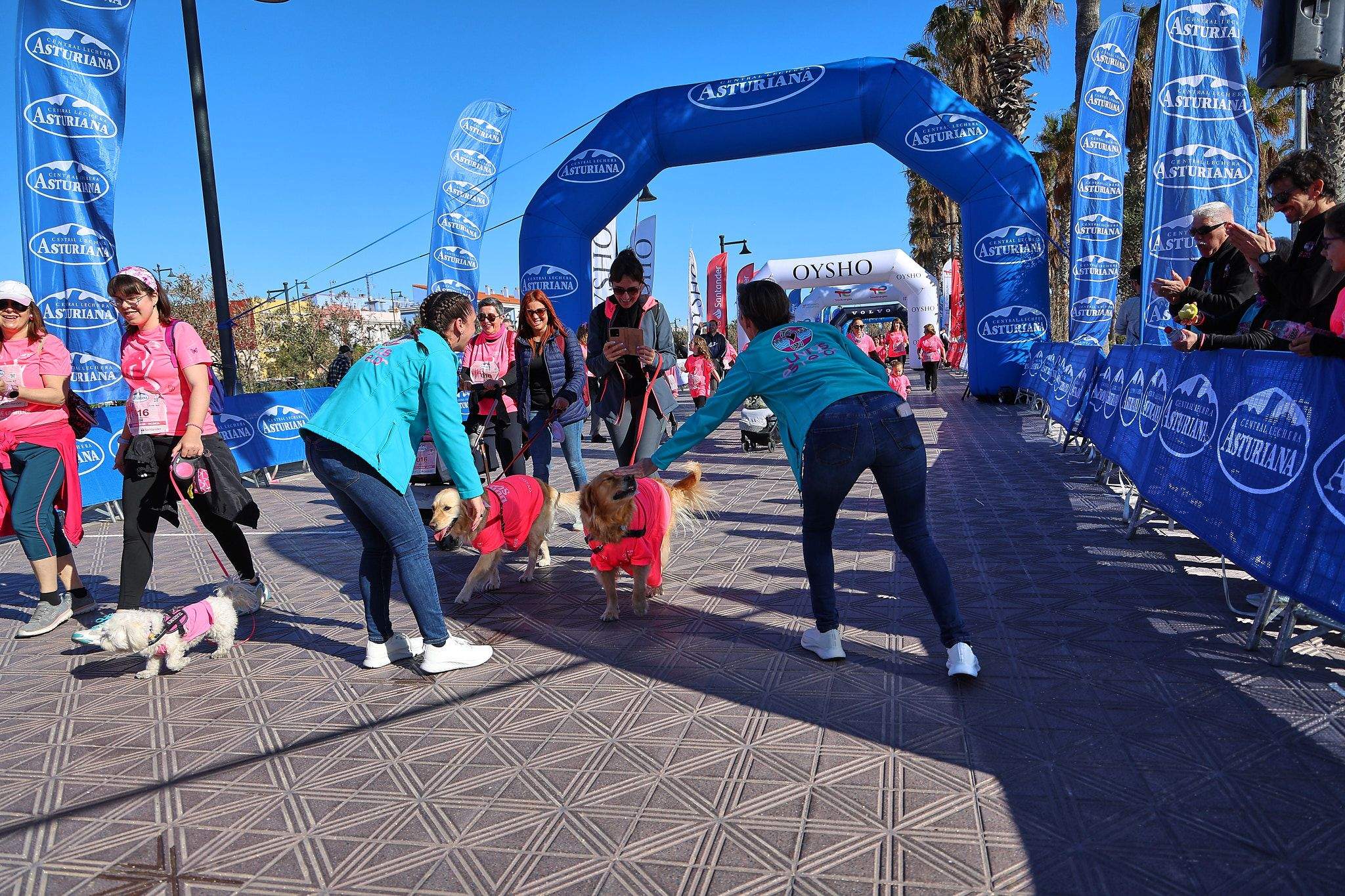 Las mejores fotos de la Carrera de la Mujer Central Lechera Asturiana de Valencia 2025. 1502