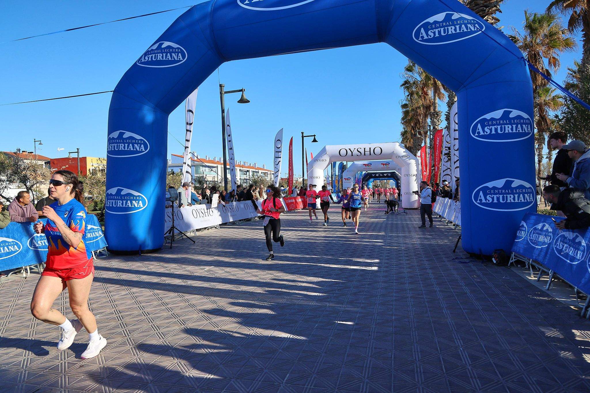 Las mejores fotos de la Carrera de la Mujer Central Lechera Asturiana de Valencia 2025. 537