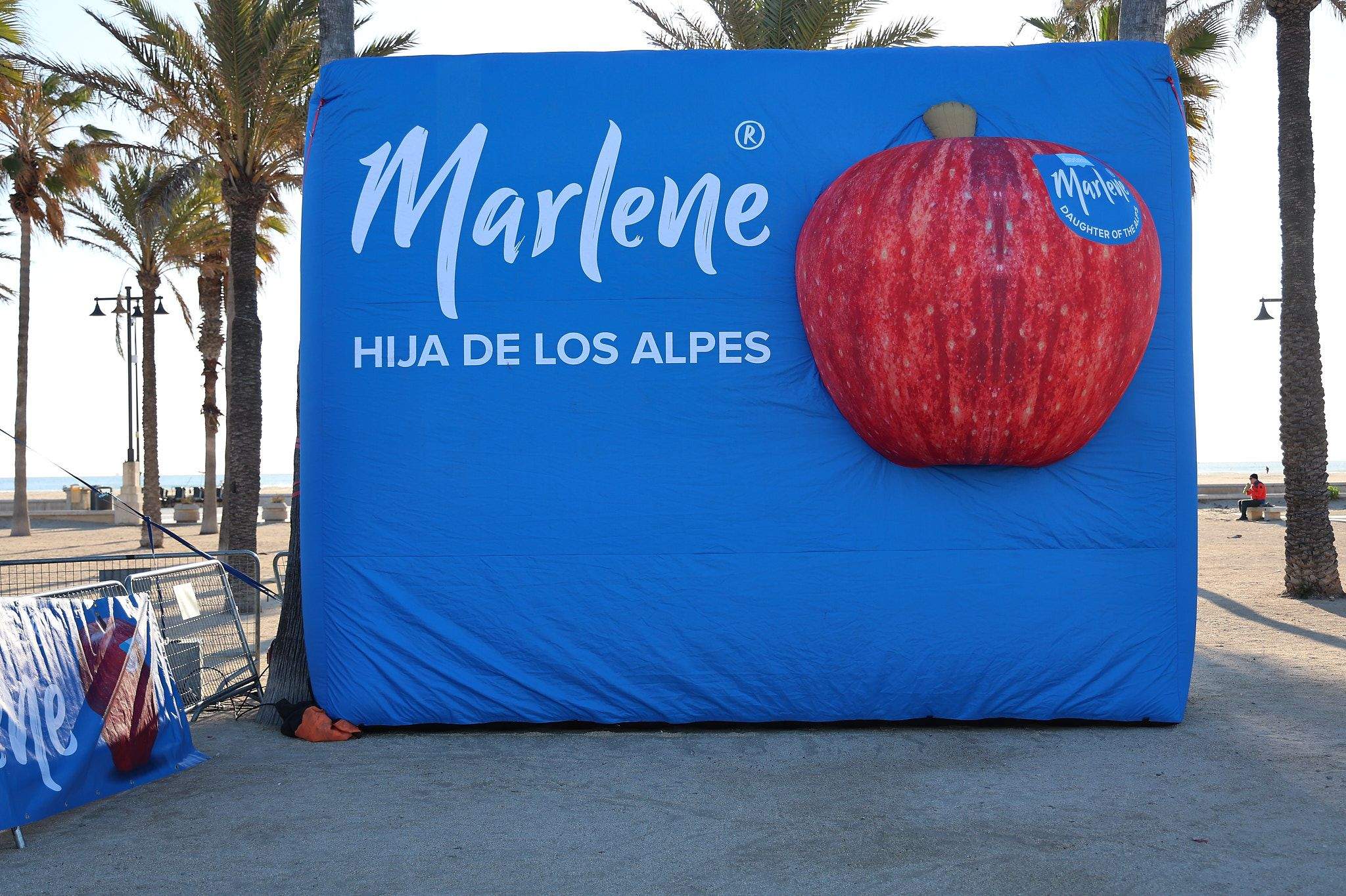 Las mejores fotos de la Carrera de la Mujer Central Lechera Asturiana de Valencia 2025. 81