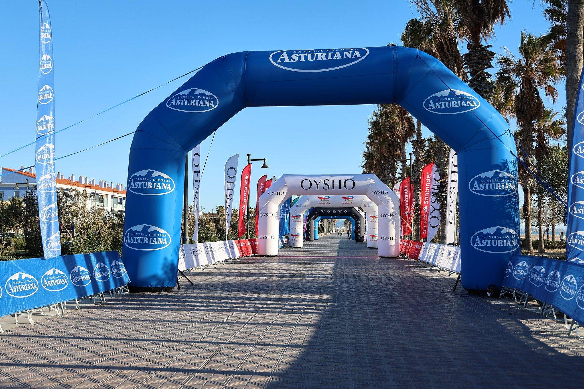 Las mejores fotos de la Carrera de la Mujer Central Lechera Asturiana de Valencia 2025. 87