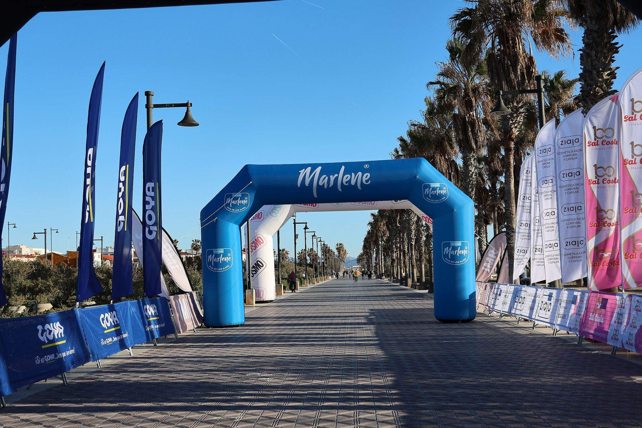 Las mejores fotos de la Carrera de la Mujer Central Lechera Asturiana de Valencia 2025. 92